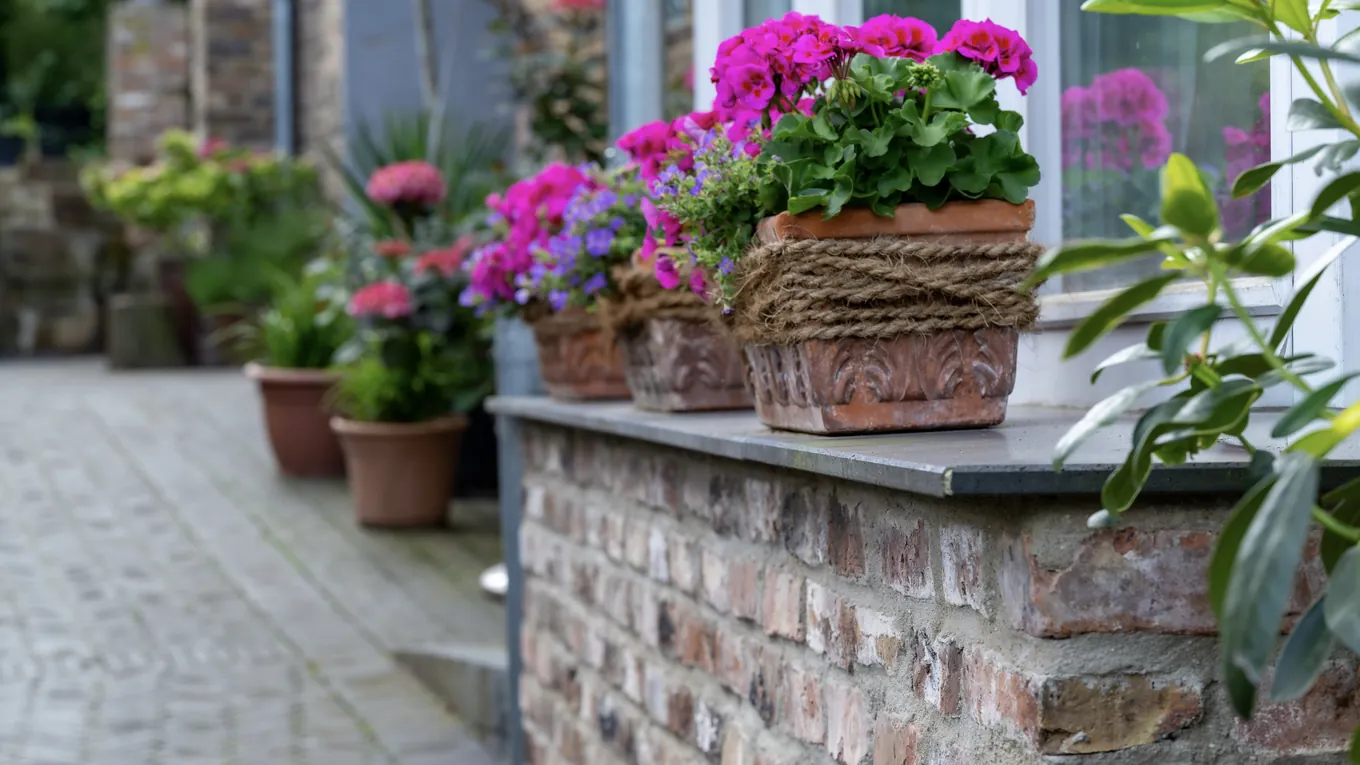 Bepflanzte Terrakottatöpfe mit rosa Blüten auf einer Ziegelmauer, dahinter Kopfsteinpflaster an einer Hauswand